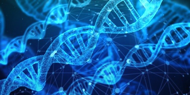 CRISPR – inovativní metoda upravování genů